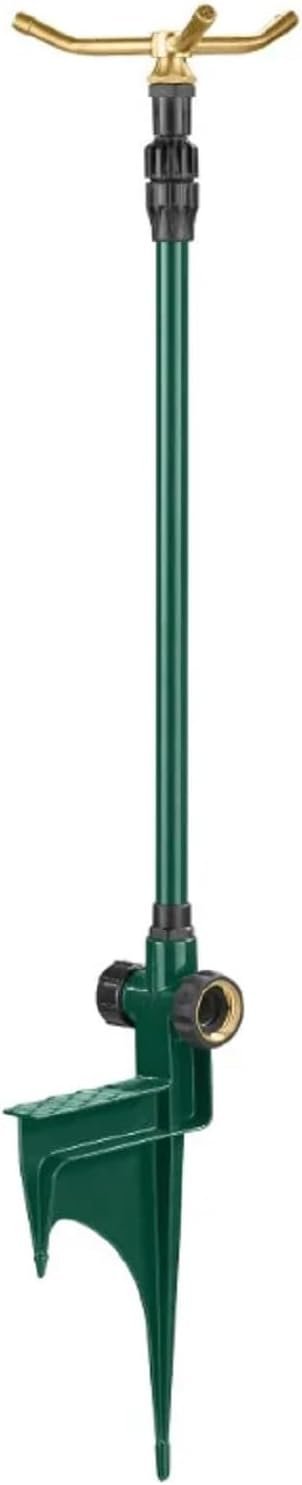 41o6EshpVsL._AC_SL1500_